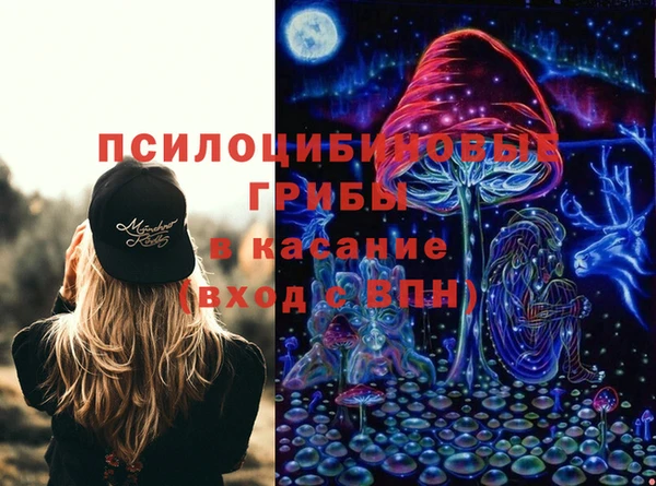 мяу мяу мука Арсеньев