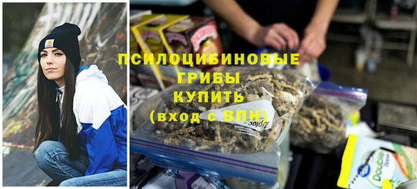 трава Аркадак
